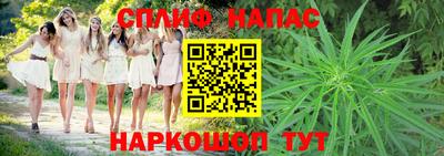 каннабис Ачхой-Мартан