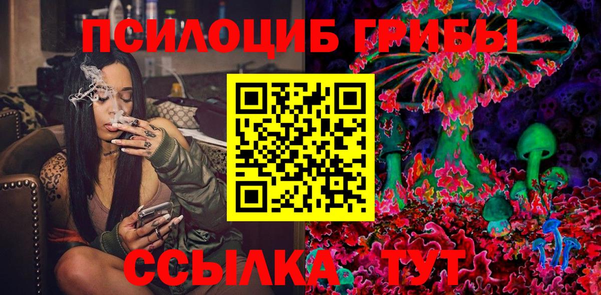 Вятские Поляны  Псилоцибиновые грибы Psilocybe  Псилоцибиновые грибы мухоморы  Вход с VPN 